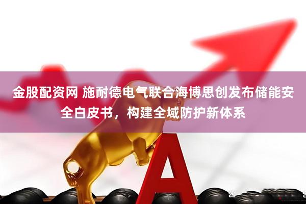 金股配资网 施耐德电气联合海博思创发布储能安全白皮书，构建全域防护新体系
