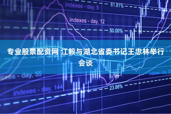 专业股票配资网 江毅与湖北省委书记王忠林举行会谈