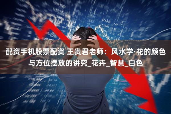 配资手机股票配资 王贵君老师：风水学·花的颜色与方位摆放的讲究_花卉_智慧_白色
